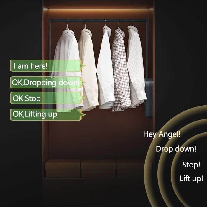 Bedroom Smart Wardrobe Electric Lifting Clothes Rod