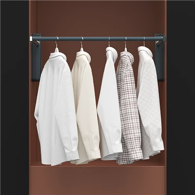 Bedroom Smart Wardrobe Electric Lifting Clothes Rod