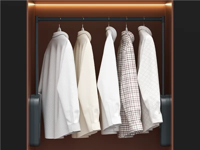 Electric Clothes Rail for Boutique Stores